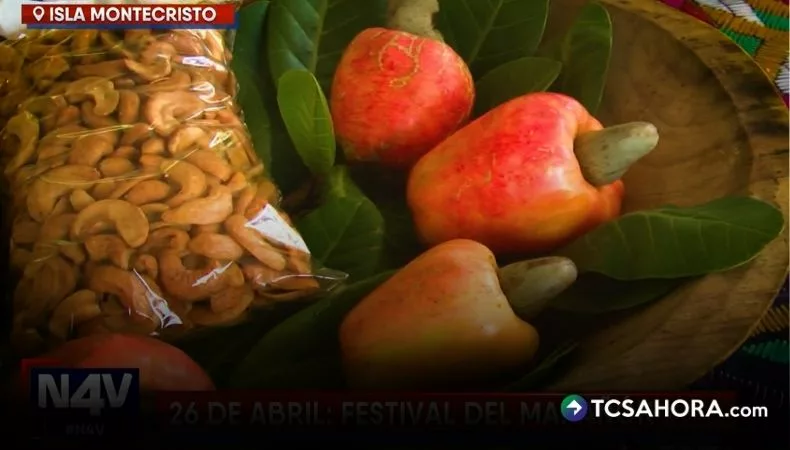 El marañón como fuente de ingreso en la isla Montecristo