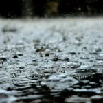 Cómo prevenir el dengue ante la llegada de las lluvias