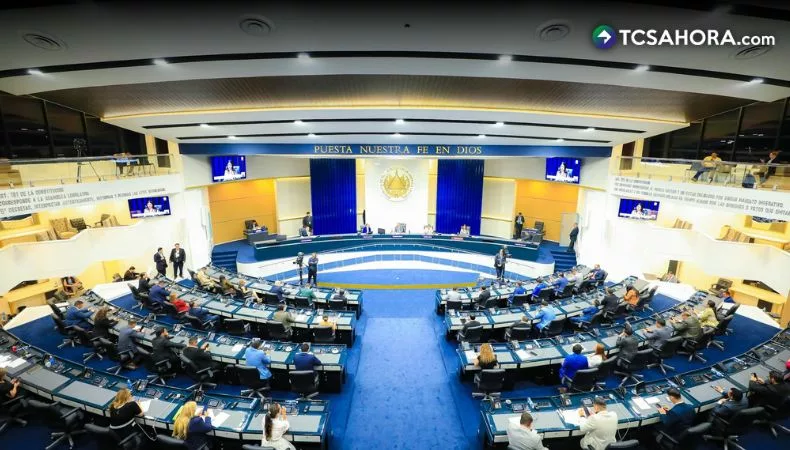 Reforman Constitución para establecer diputados representantes de la diáspora