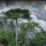 Filipinas en alerta por erupción del volcán Mayon