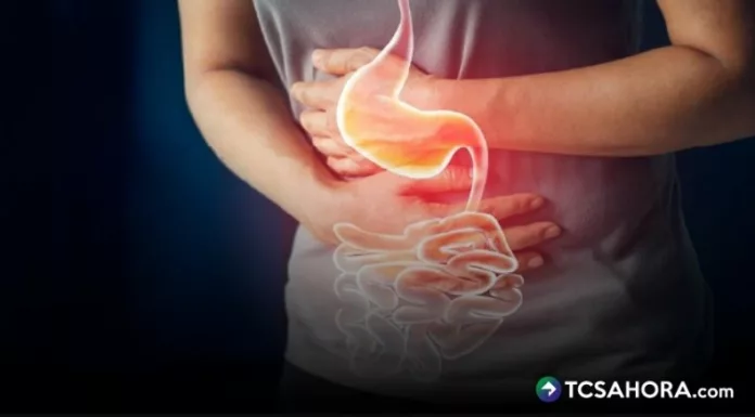De acuerdo con expertos, los primeros síntomas de las enfermedades gastrointestinales suelen ser vómitos y diarrea.