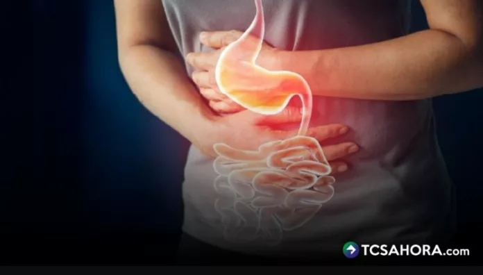 De acuerdo con expertos, los primeros síntomas de las enfermedades gastrointestinales suelen ser vómitos y diarrea.