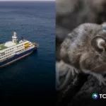 Brote de hantavirus en crucero deja tres fallecidos