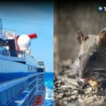 OMS eleva a siete los casos sospechosos de hantavirus