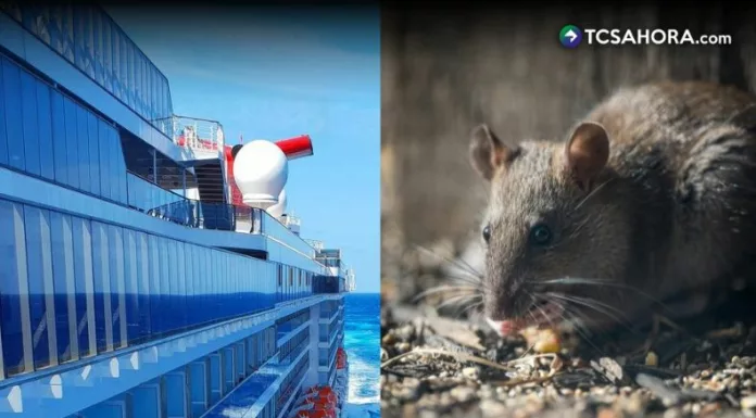 OMS eleva a siete los casos sospechosos de hantavirus