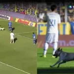 ¡Perro juega al fútbol y es ovacionado por la afición!