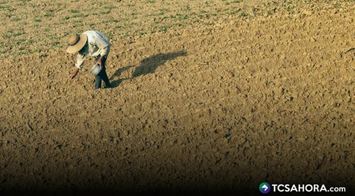Luis Treminio, presidente de CAMPO, llama a estar preparados, ya que tendremos un año con bastante sequía que afectaría la producción nacional.
