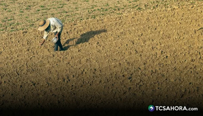 Luis Treminio, presidente de CAMPO, llama a estar preparados, ya que tendremos un año con bastante sequía que afectaría la producción nacional.