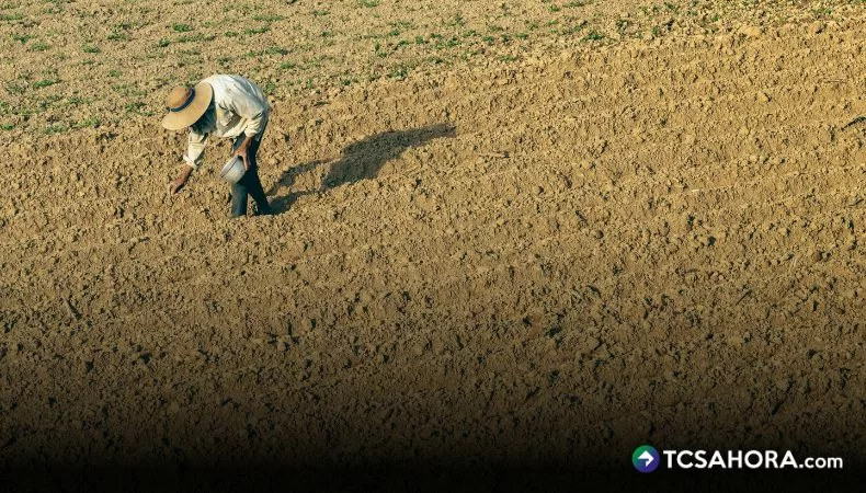 Prevén que no se logrará cubrir la producción agrícola nacional