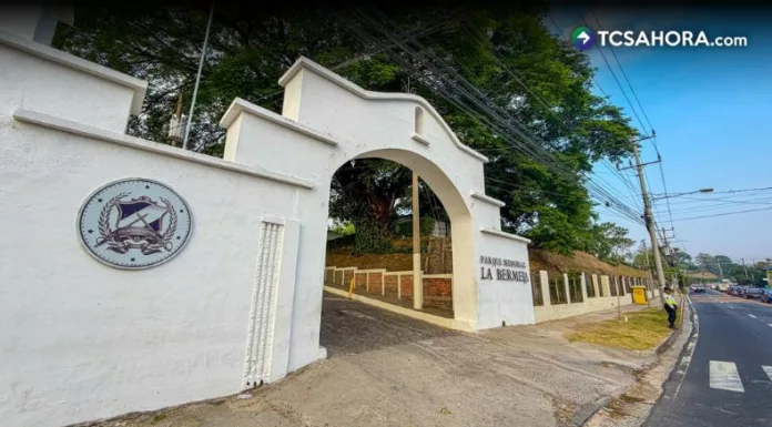 Anuncian plan de limpieza de cementerios por Día de la Madre