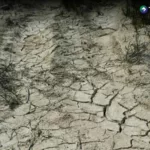 Cambio climático impacta agricultura en Centroamérica
