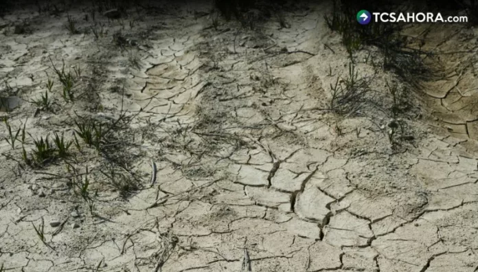 Cambio climático impacta agricultura en Centroamérica