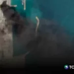Estados Unidos atacó objetivos iraníes en el estrecho de Ormuz 