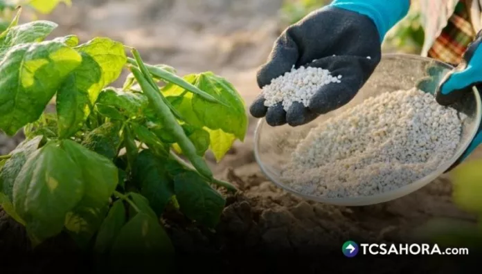 Agricultores aseguran que el alza de fertilizantes impacta directamente en los costos de producción y complica el inicio de las siembras.