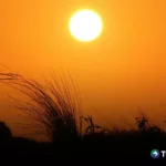 Se mantendrá para los próximos días la ola de calor en El Salvador