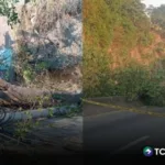Árboles y postes caídos colapsan tráfico en la Troncal del Norte