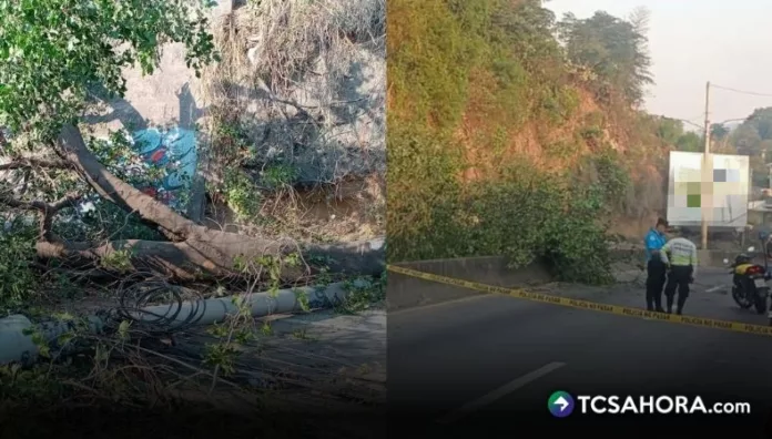 El paso vehicular permaneció restringido durante varias horas en ambos carriles del kilómetro 5 de la carretera Troncal del Norte.