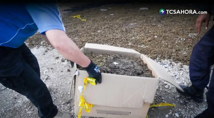 Fiscalía y PNC destruyen droga valorada en más de $84 mil