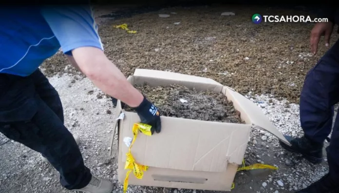 Fiscalía y PNC destruyen droga valorada en más de $84 mil