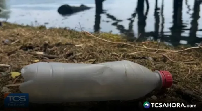 Conocer la clasificación de la basura es fundamental para reducir el impacto ambiental y aplicar tratamientos adecuados para los residuos.