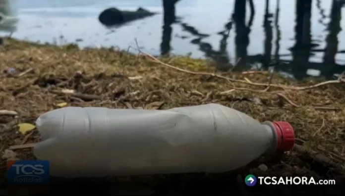 Conocer la clasificación de la basura es fundamental para reducir el impacto ambiental y aplicar tratamientos adecuados para los residuos.