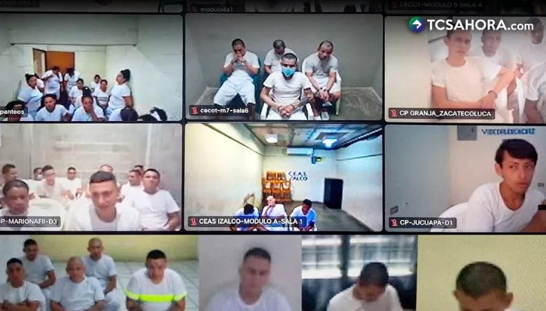 Tribunales condenan a 88 miembros y colaboradores de pandillas