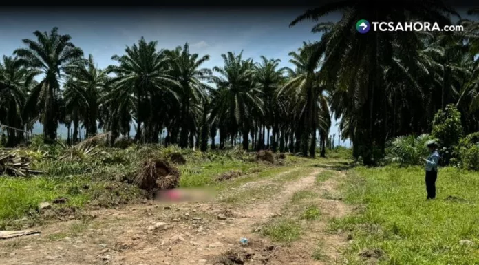 Al menos 17 fallecidos en masacre en Trujillo, Honduras