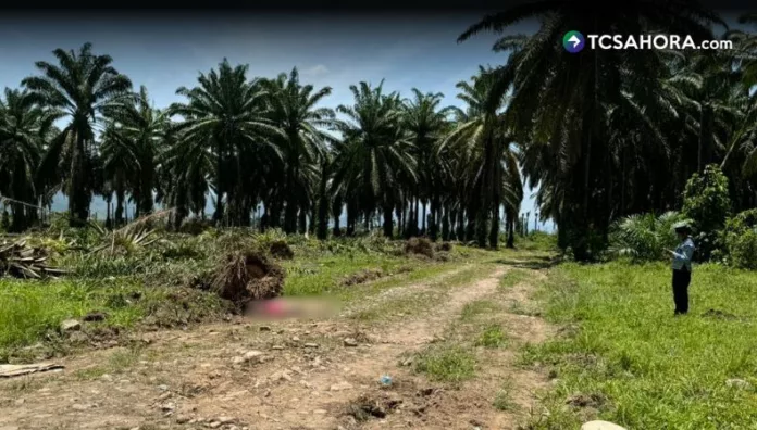 Al menos 17 fallecidos en masacre en Trujillo, Honduras