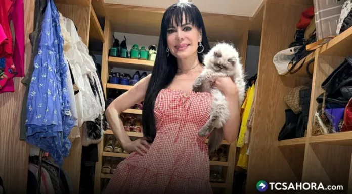 La disputa entre Maribel Guardia e Imelda Tuñón no tiene fin. La actriz ya no figura como tutora legal de José Julián, hijo del fallecido Julián Figueroa.