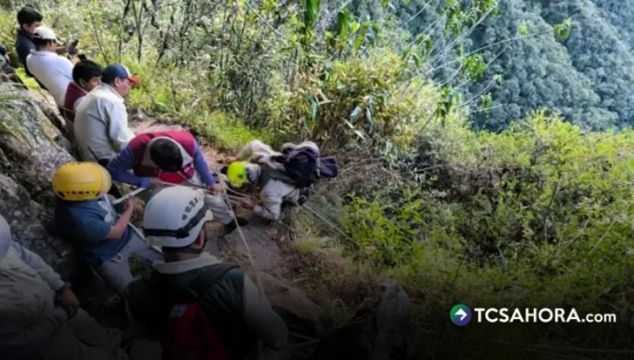 El hombre caminaba junto a un grupo de excursionistas cuando perdió el equilibrio en una zona de escalinatas en Machu Picchu.