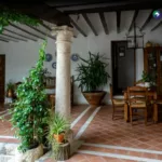 ¿Cómo enfrentar las altas temperaturas en casa?