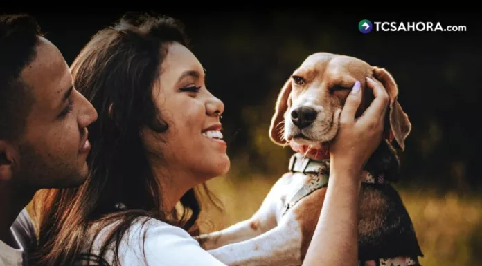 Los millennials prefieren tener mascotas antes que hijos