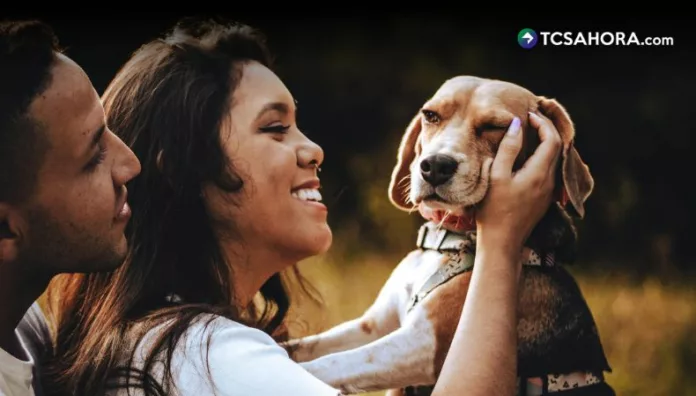 Los millennials prefieren tener mascotas antes que hijos