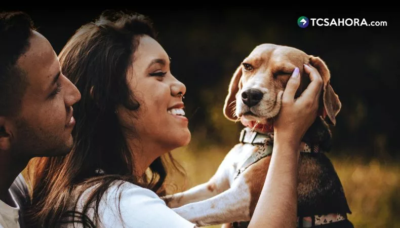 Los millennials prefieren tener mascotas antes que hijos
