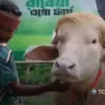 Búfalo se salva de ser sacrificado por su parecido a Donald Trump