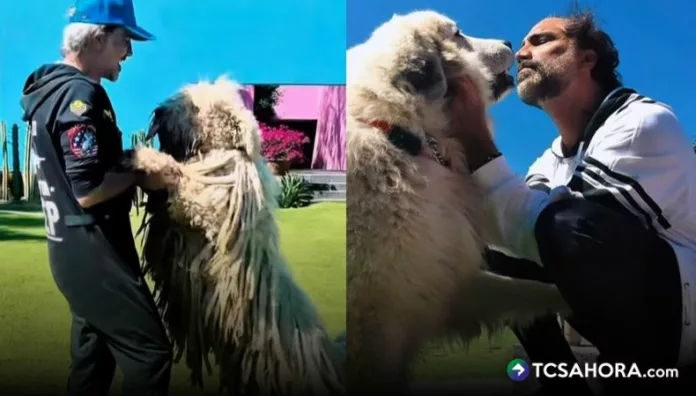 Alejandro Fernández hizo un tierno homenaje a su amado 