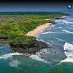 La conservación de los arrecifes marinos es clave para la biodiversidad