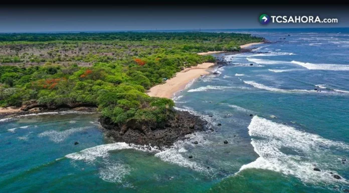 La conservación de los arrecifes marinos es clave para la biodiversidad