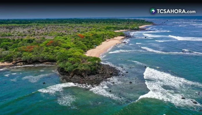 La conservación de los arrecifes marinos es clave para la biodiversidad