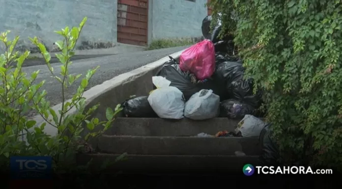 Algunas conductas relacionadas con la contaminación por basura pueden constituir delitos y castigarse con penas de prisión de uno a tres años.