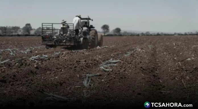 Los agricultores ya se preparan para que de julio a septiembre se tenga poca lluvia en El Salvador, por la canícula y el Súper Niño.