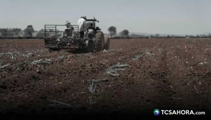 Los agricultores ya se preparan para que de julio a septiembre se tenga poca lluvia en El Salvador, por la canícula y el Súper Niño.