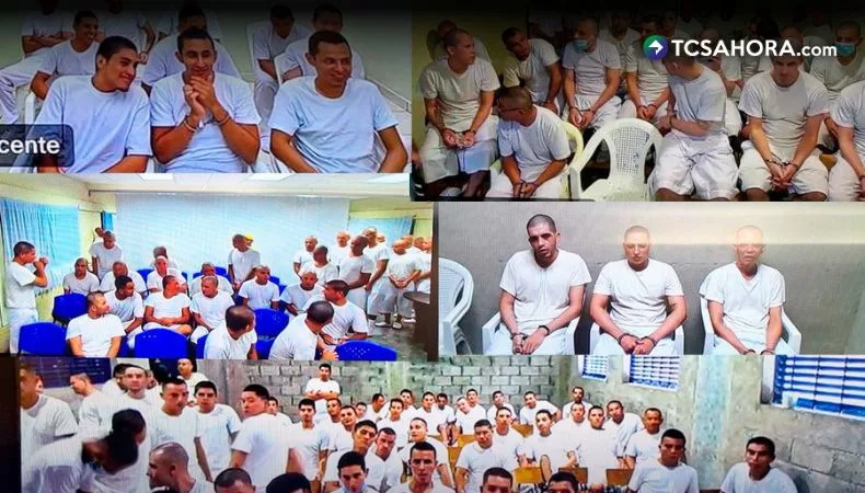 Tribunal condena a prisión a 254 pandilleros
