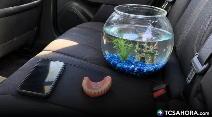 Teléfonos y dentaduras postizas entre los objetos olvidados en transporte de alquiler