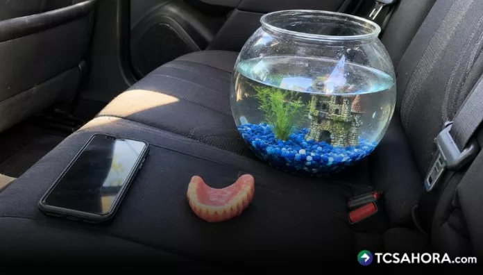 Teléfonos y dentaduras postizas entre los objetos olvidados en transporte de alquiler