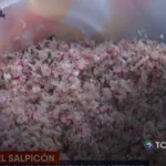Salpicón mantiene viva la tradición apastepecana