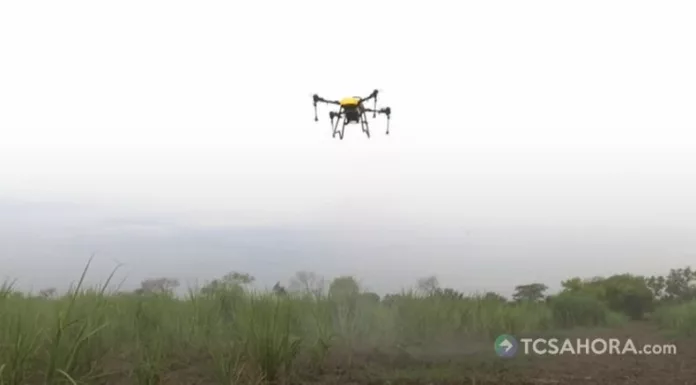 Los agricultores sostienen que los drones ayudan a monitorear cultivos, detectar plagas y optimizar el riego.