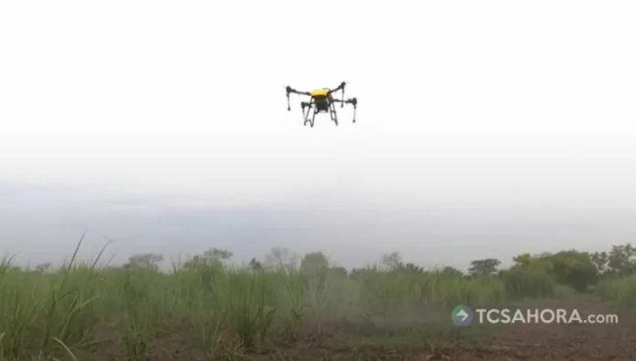 Los agricultores sostienen que los drones ayudan a monitorear cultivos, detectar plagas y optimizar el riego.
