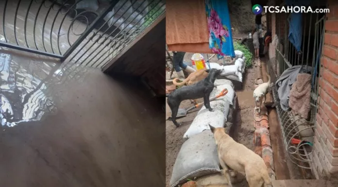 El refugio para perros se encuentra ubicado en la carretera hacia Panchimalco. Las encargadas del lugar piden ayuda para reparar los daños.