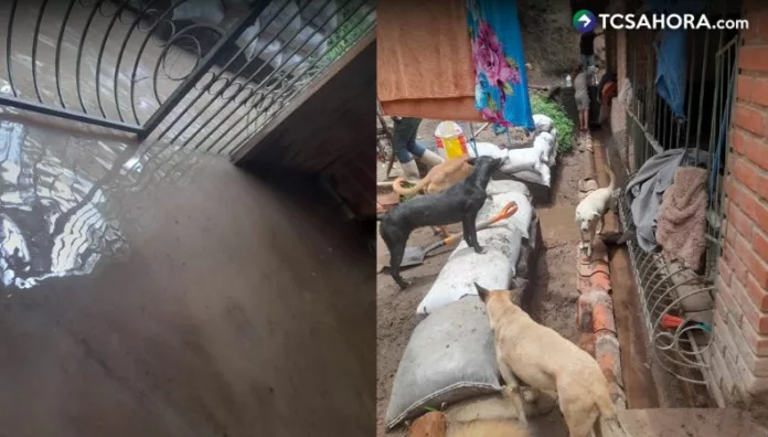 El refugio para perros se encuentra ubicado en la carretera hacia Panchimalco. Las encargadas del lugar piden ayuda para reparar los daños.
